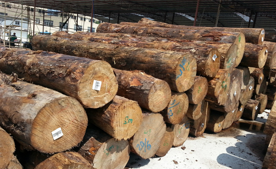 浙江打樁木批發(fā)